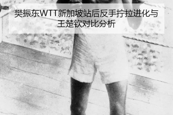 樊振东WTT新加坡站后反手拧拉进化与王楚钦对比分析