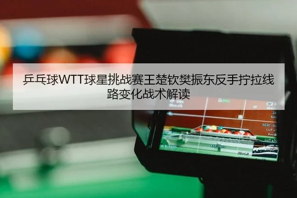 乒乓球WTT球星挑战赛王楚钦樊振东反手拧拉线路变化战术解读