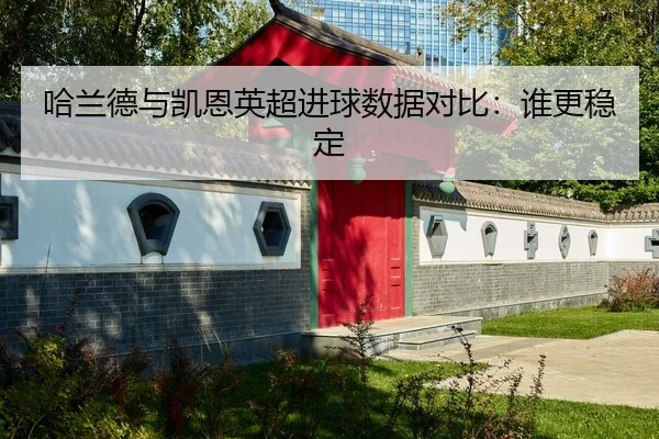 哈兰德与凯恩英超进球数据对比：谁更稳定