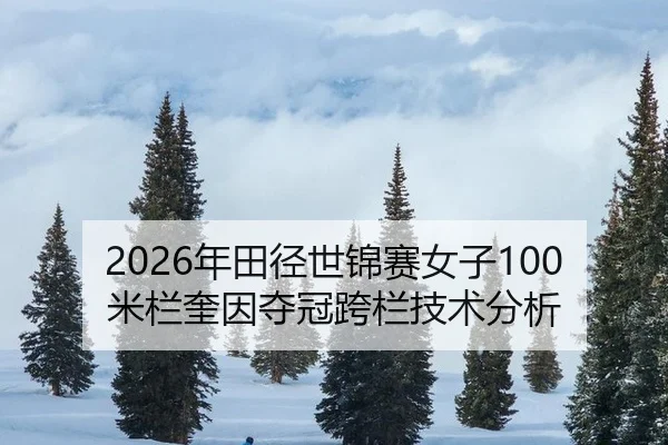 nian-tian-jing-shi-jin-sai-nv-zi-mi-lan-kui-yin-duo-guan-kua-lan-ji-shu-fen-xi-3-257.jpg